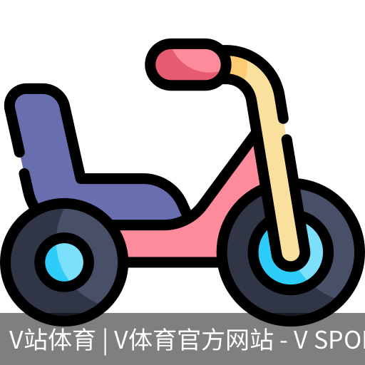 V体育